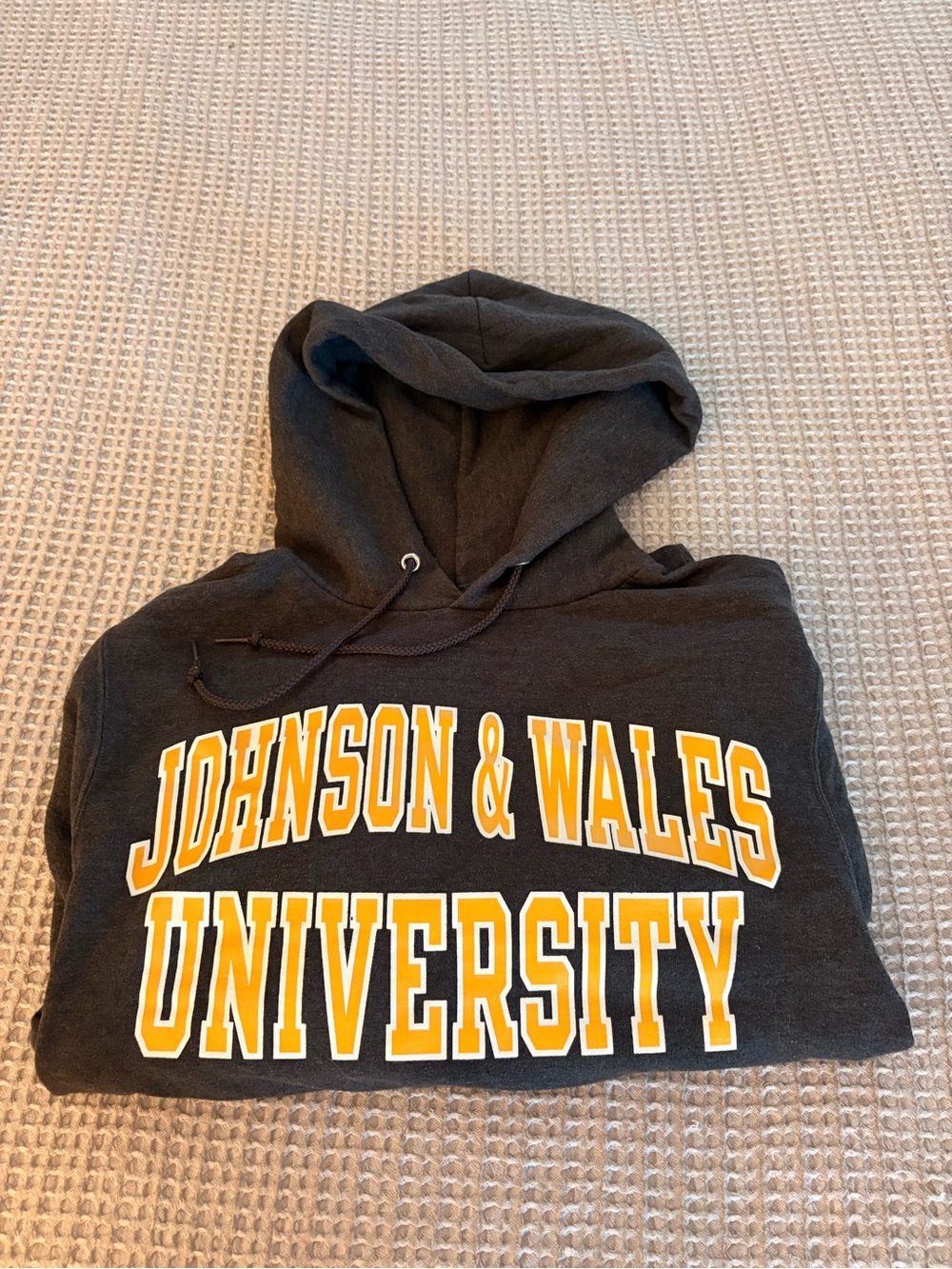 Johnson & Wales University Champion Hoodie XS Gray JWU College Sweatshirt